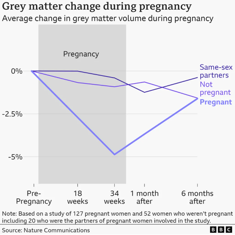 Chart showing average change in grey matter over the term of a pregnancy