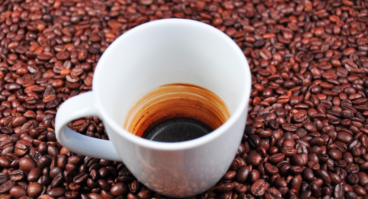 coffee empty cup