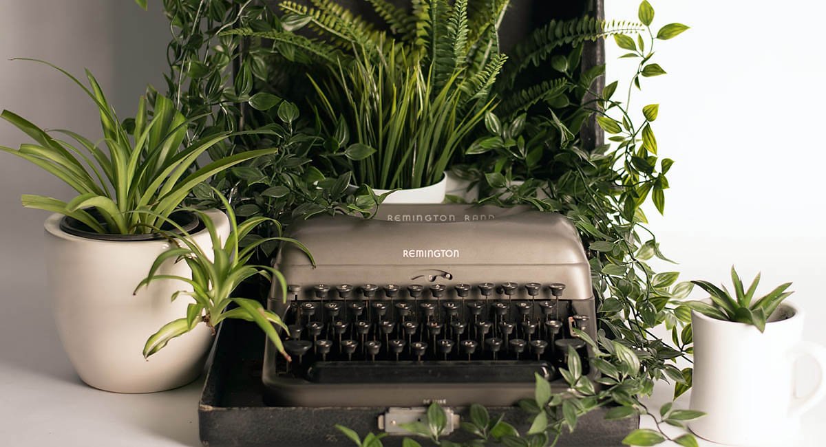 Old typewriter with plants